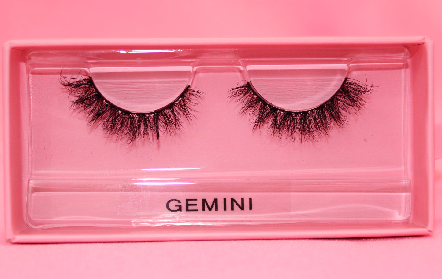 GEMINI